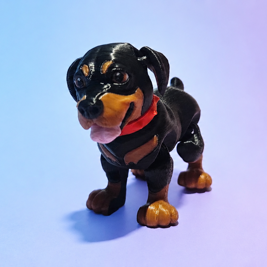 Small Rottweiler