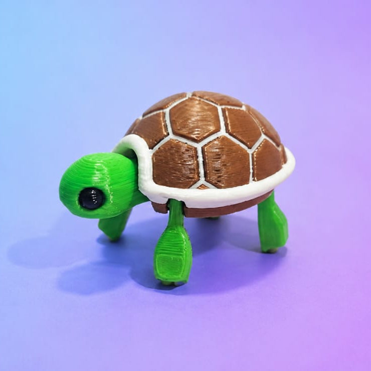 Small Tortoise