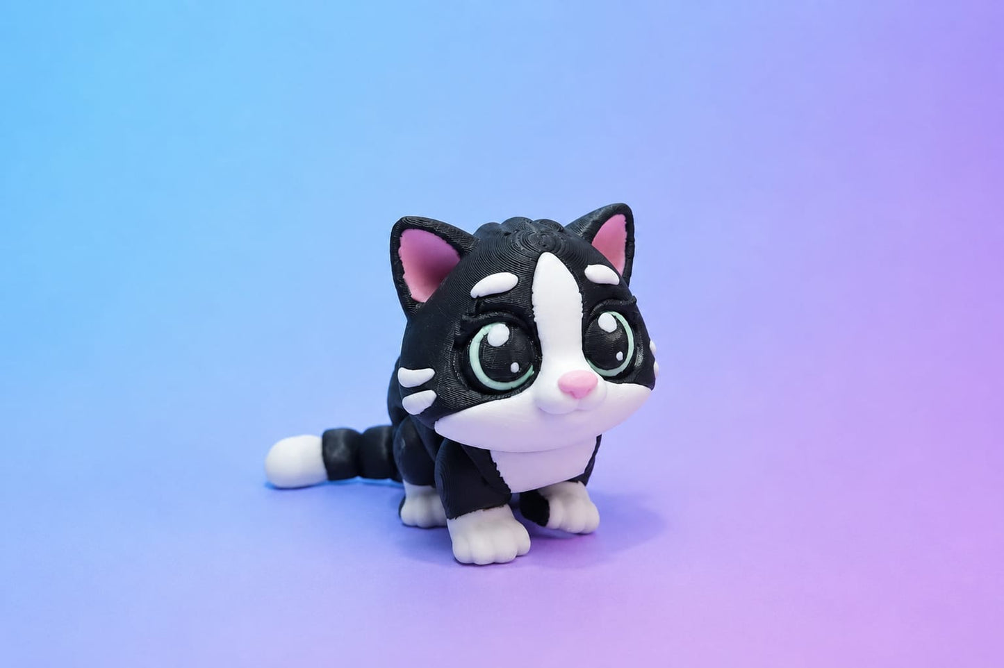 Tuxedo Cat