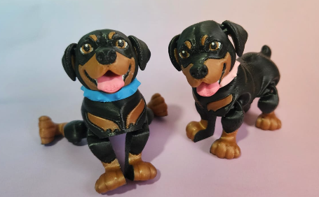 Small Rottweiler
