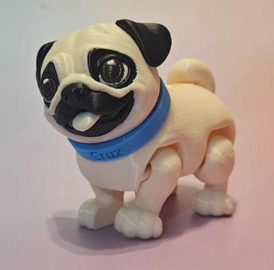 Pug