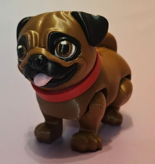 Pug