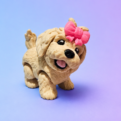 Golden Doodle