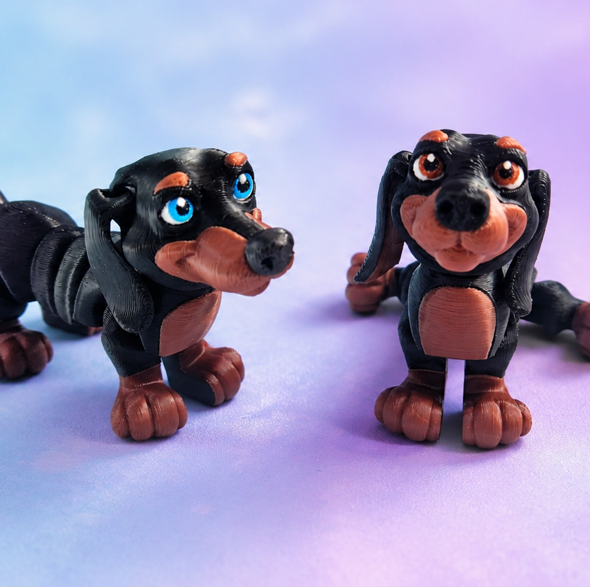 Dachshund