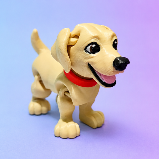 Labrador