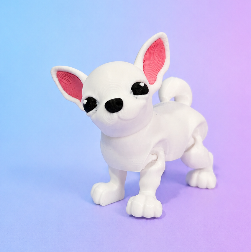 Chihuahua