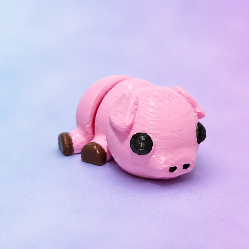 Baby Pig