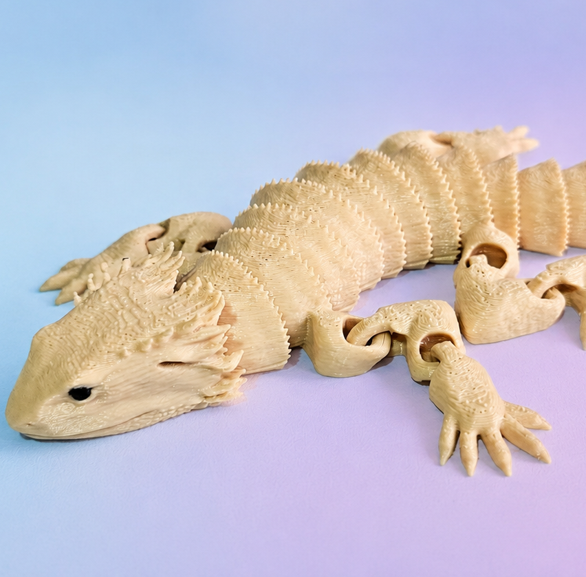 Bearded Dragon