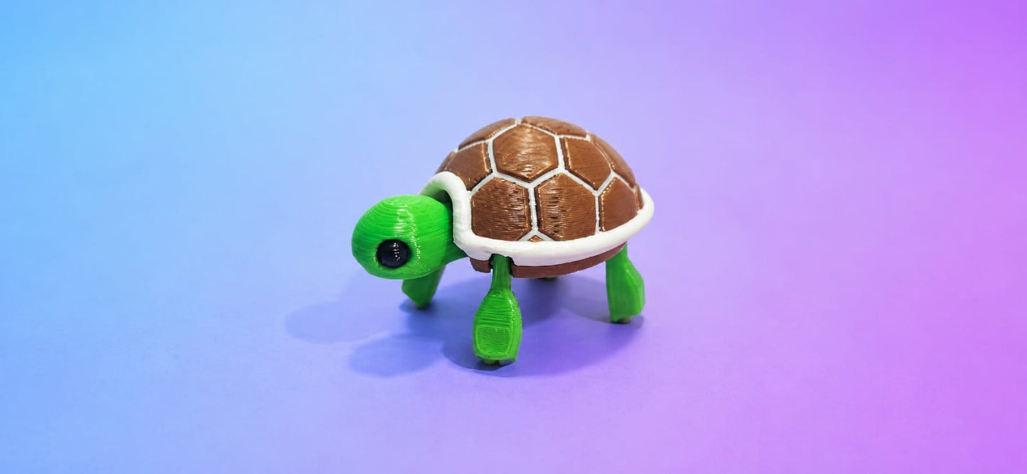 Small Tortoise